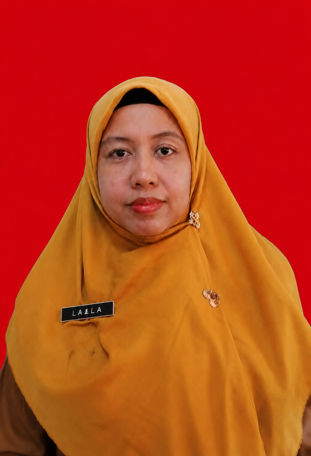 Kepegawaian - Kelompok Jabatan Fungsional